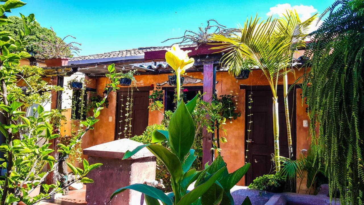 Hotel Primavera Antigua Exterior photo
